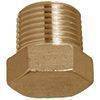 Socket Weld Plug Forged Fittings Forged Fitting - Socket Weld Plug