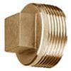 Threaded Plug Forged Fittings Forged Fitting - Threaded Plug